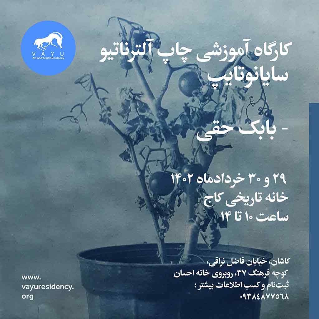 VAYU-Workshop2-Babak-Haghi-alternative-print-2